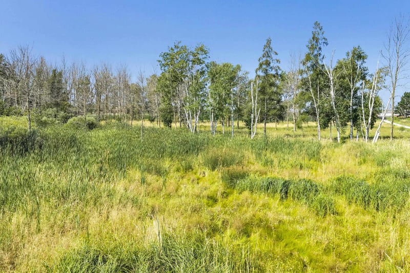 Phillips Rd, Green Bay, WI 54311