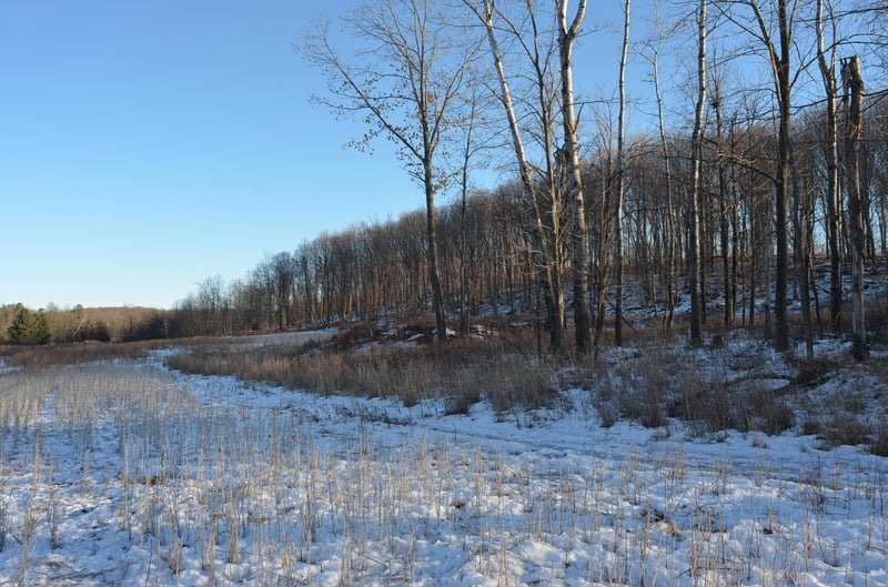 N3353 Comet Rd, Tigerton, WI 54486