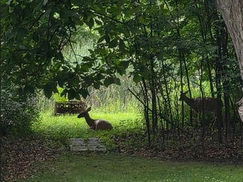 4175 Twilight Ct, Oshkosh, WI 54904-6923