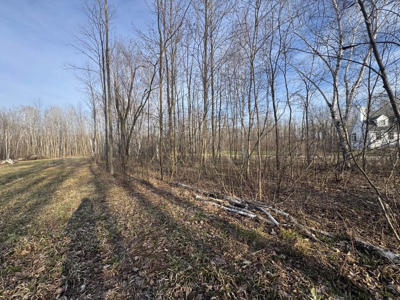 Pioneer Dr, Abrams, WI 54101-9719