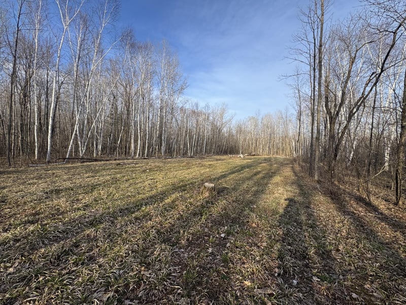Pioneer Dr, Abrams, WI 54101-9719