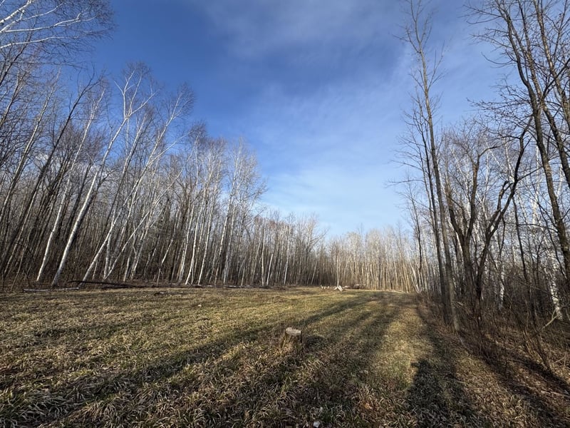 Pioneer Dr, Abrams, WI 54101-9719