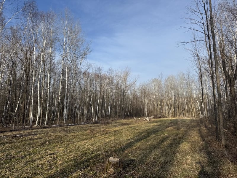 Pioneer Dr, Abrams, WI 54101-9719