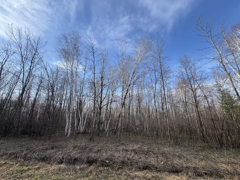 Pioneer Dr, Abrams, WI 54101-9719