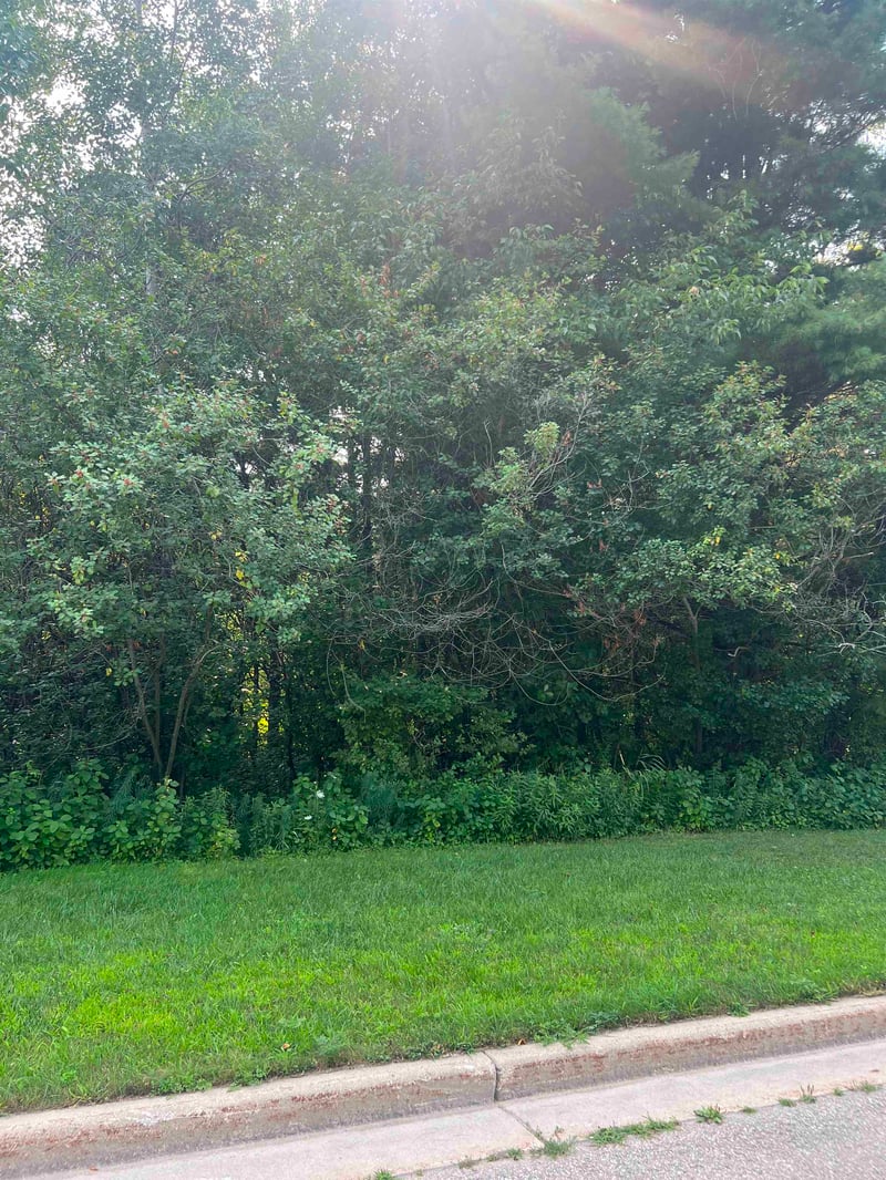 Bitters Ave #2, Oconto, WI 54153