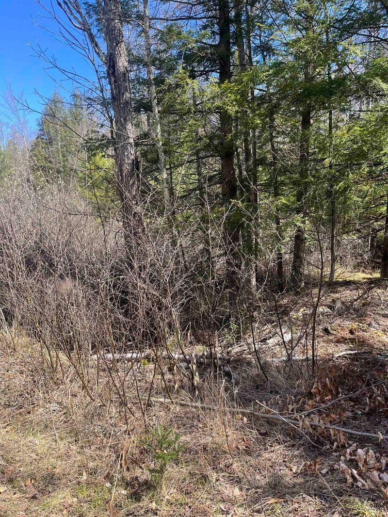 Lake John Rd, Lakewood, WI 54138