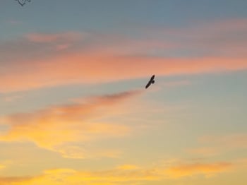 735 Park St, Wrightstown, WI 54180-1003