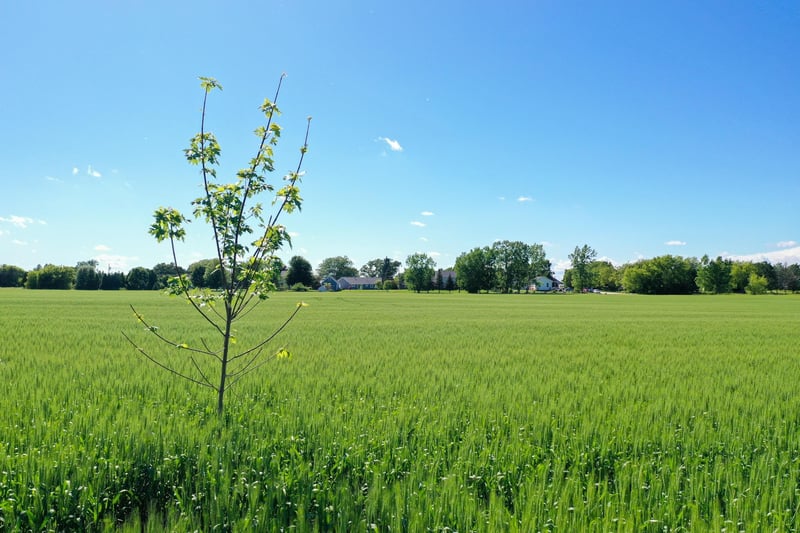 Bay Settlement Rd, Green Bay, WI 54311