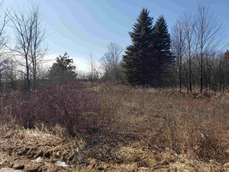 Bialozynski Rd #3, Pulaski, WI 64162