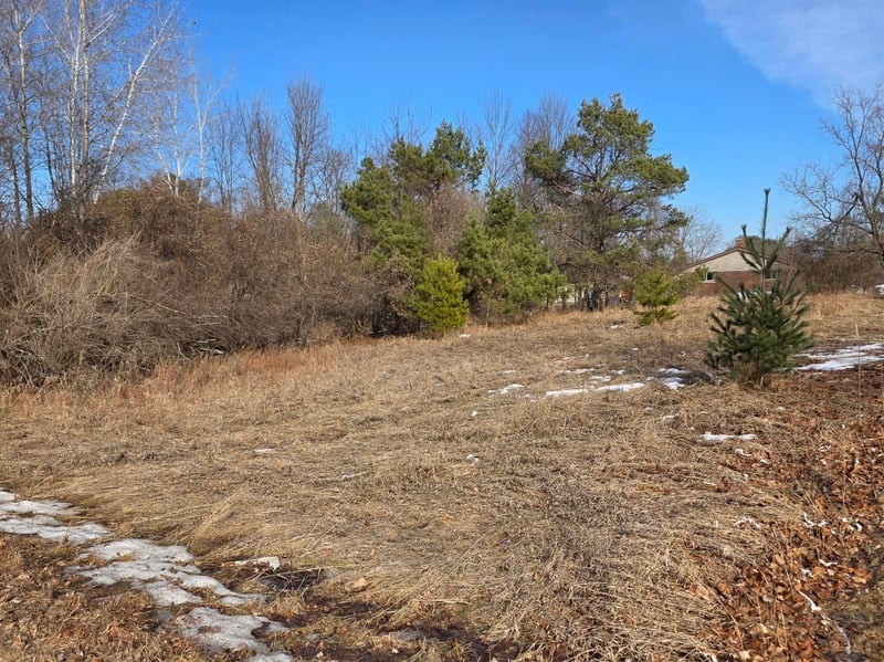 Knoke St #1, Gresham, WI 54128