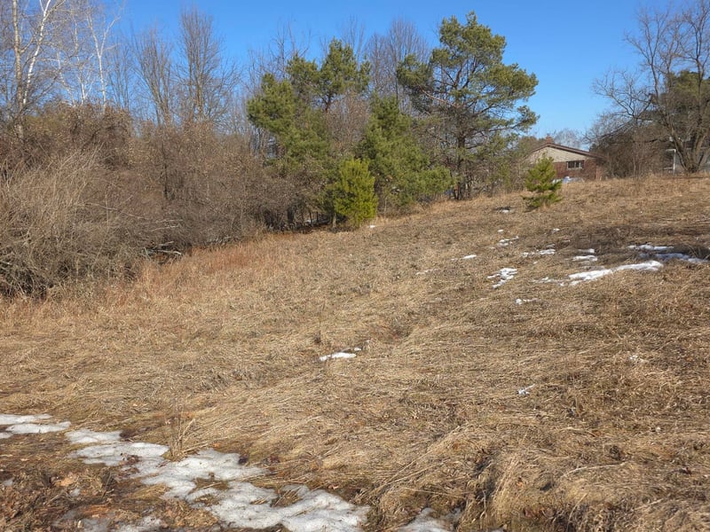 Knoke St #1, Gresham, WI 54128