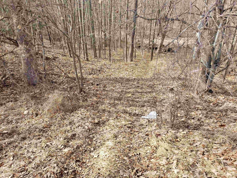 Bialozynski Rd #1, Pulaski, WI 54162