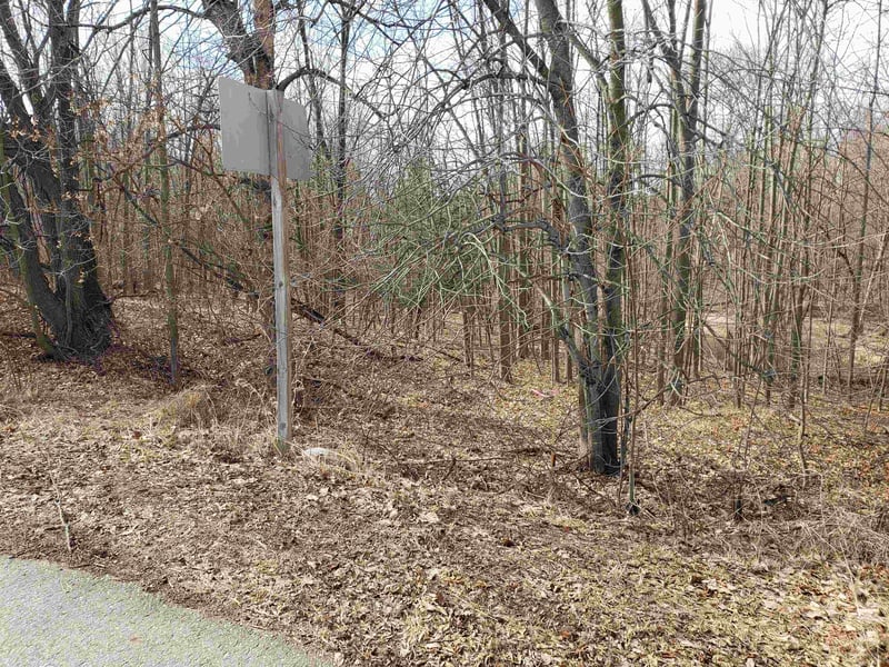 Lot 1 Bialozynski Rd #1, Pulaski, WI 54162