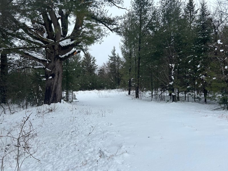 606 Brook St, Suring, WI 54174