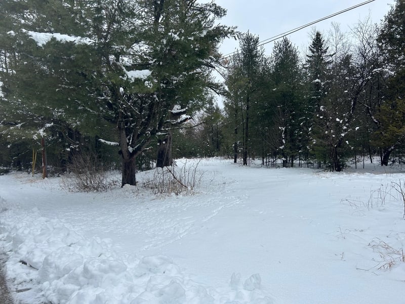 606 Brook St, Suring, WI 54174