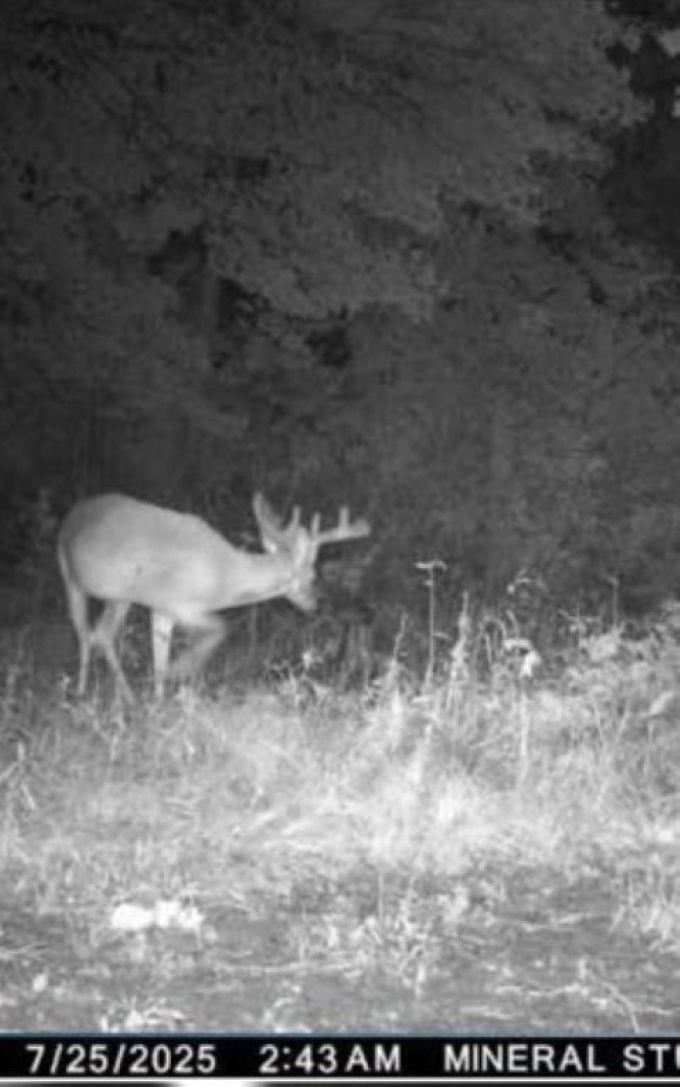 Eland Rd #1, Wittenberg, WI 54499