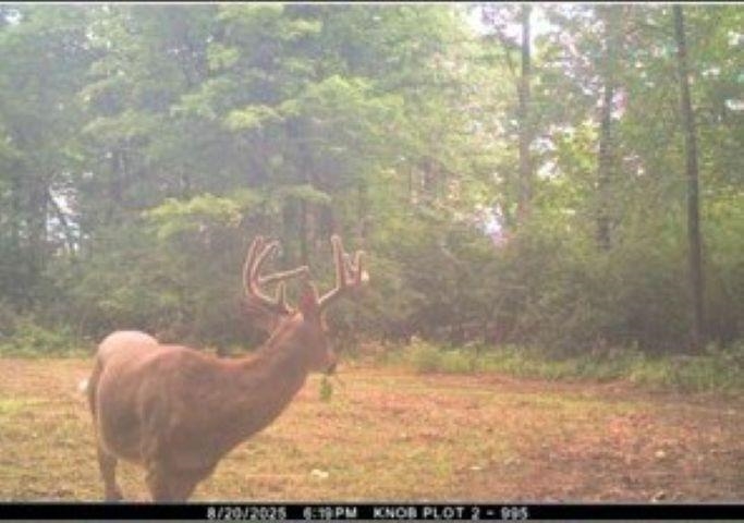 Eland Rd #1, Wittenberg, WI 54499