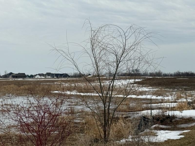 5975 Meade St, Appleton, WI 54913-7809