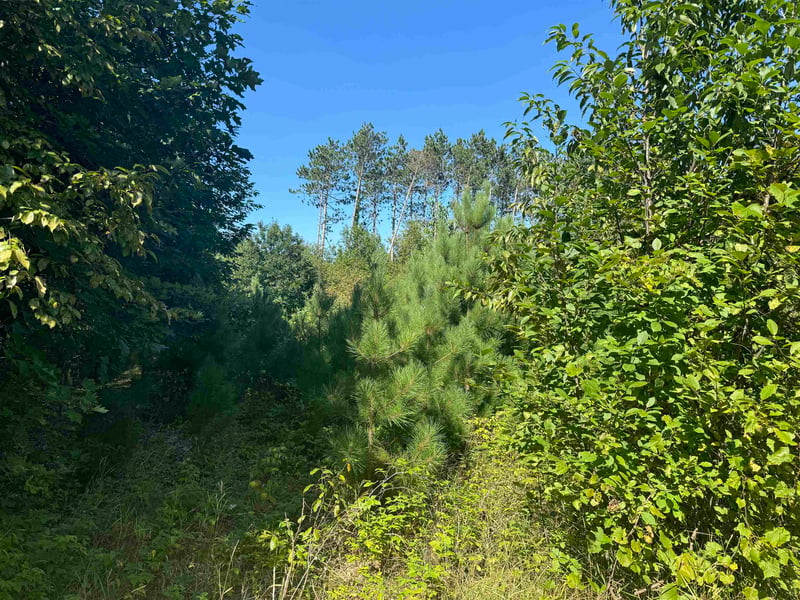 Lake Dr #35/36, Gresham, WI 54128