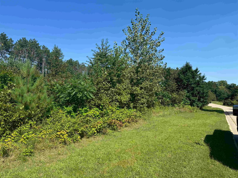 Lake Dr #36, Gresham, WI 54128