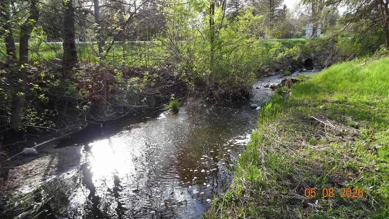 E1305 Bolt Rd, Denmark, WI 54208-0000