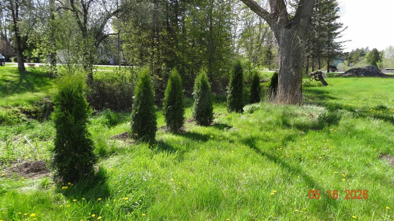 E1305 Bolt Rd, Denmark, WI 54208-0000