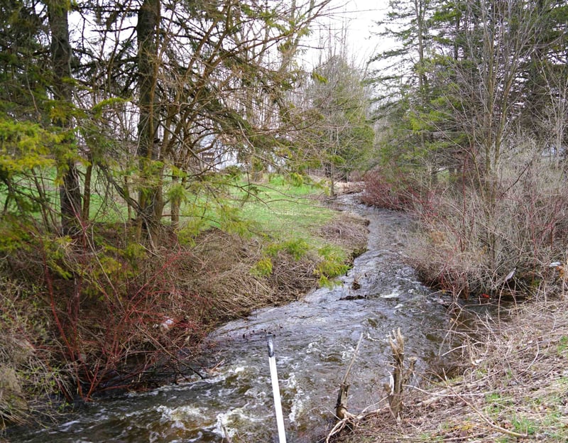 E1305 Bolt Rd, Denmark, WI 54208-0000