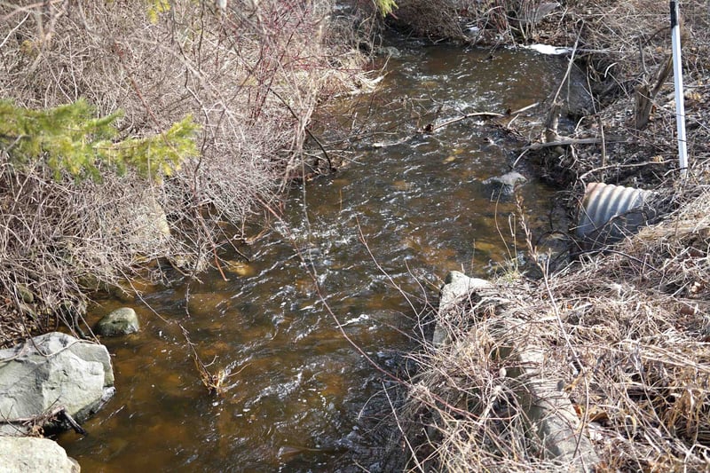 E1305 Bolt Rd, Denmark, WI 54208-0000