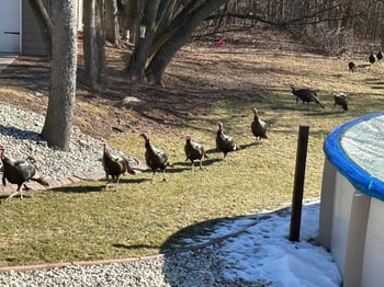 730 Aerostar Ln, Green Bay, WI 54313