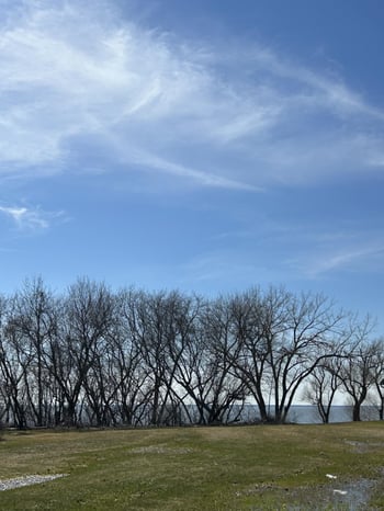 N7827 State Park Rd #41, Sherwood, WI 54169