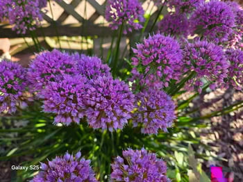 2466 Pecan St, Green Bay, WI 54311