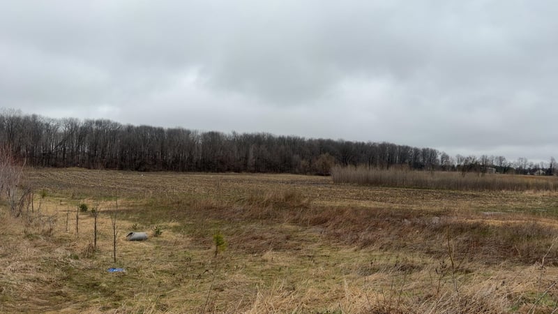 Us 45 Hw, Fremont, WI 54940