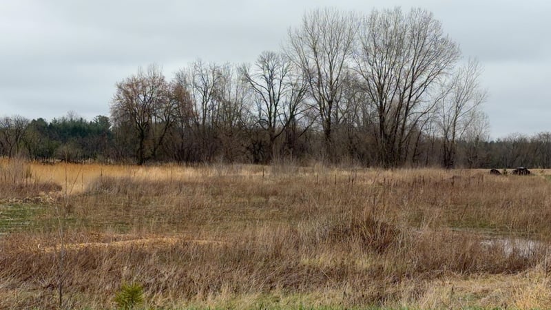 Us 45 Hw, Fremont, WI 54940
