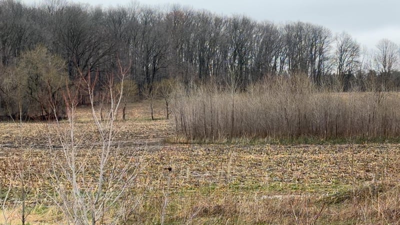 Us 45 Hw, Fremont, WI 54940