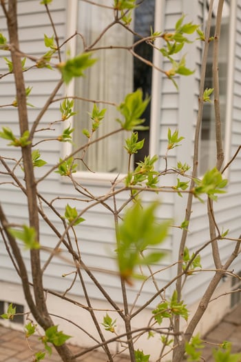 401 Gardners Row, Appleton, WI 54915