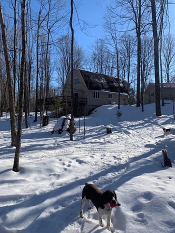 14684 Buckshot Rd, Lakewood, WI 54138