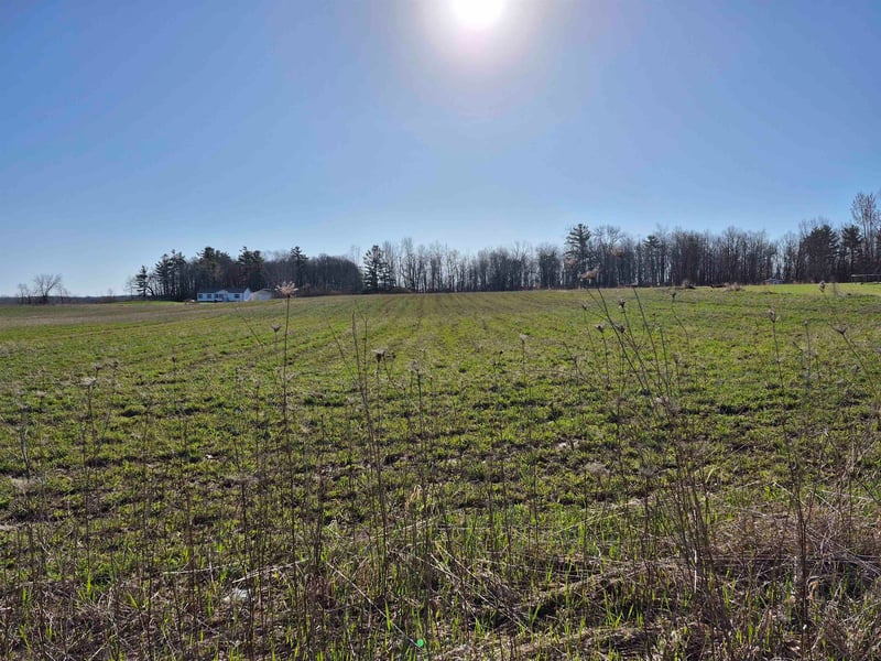 Charlie Ln #37, Cecil, WI 54111
