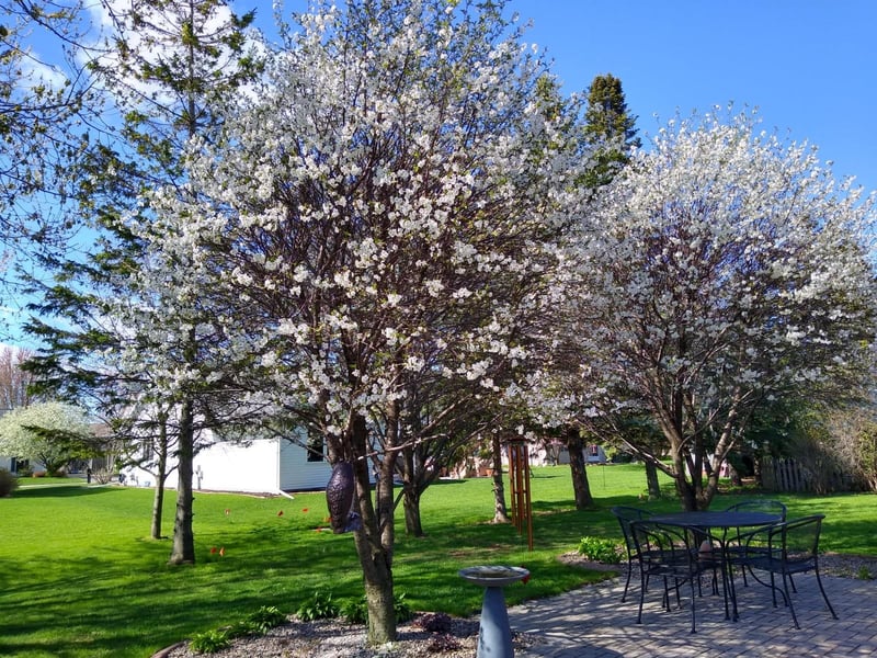 4715 Periwinkle Ct, Appleton, WI 54914