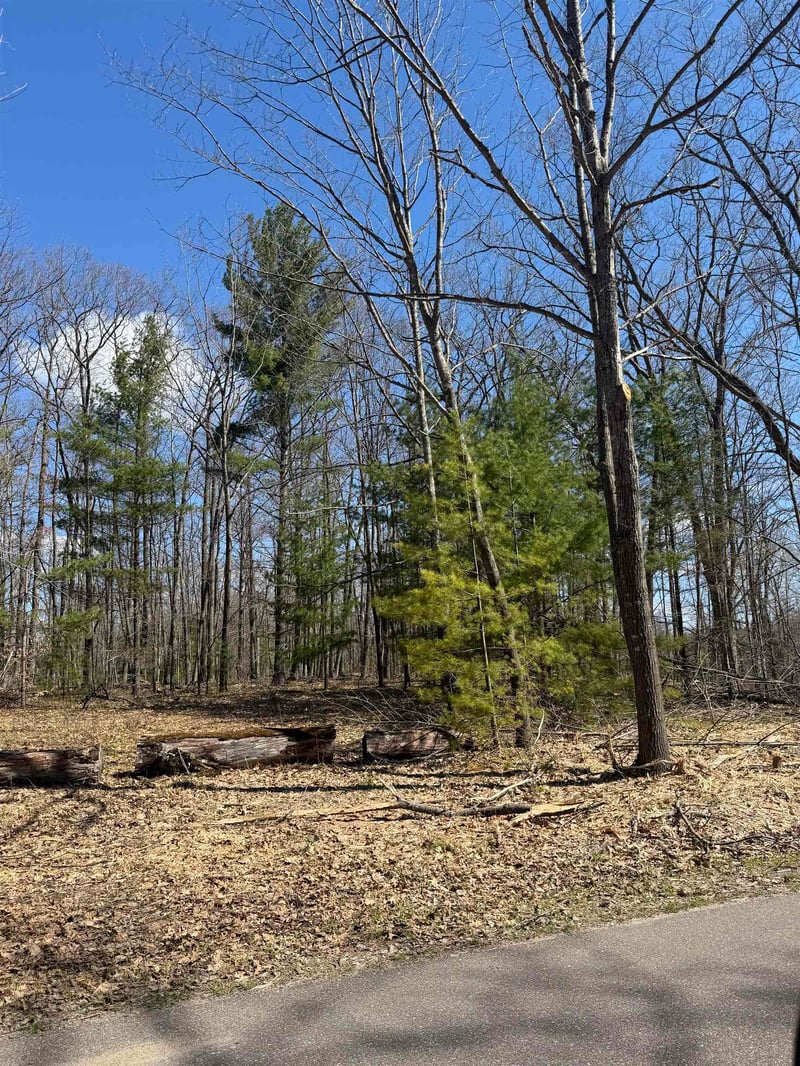 Archibald Lake Rd, Townsend, WI 54175