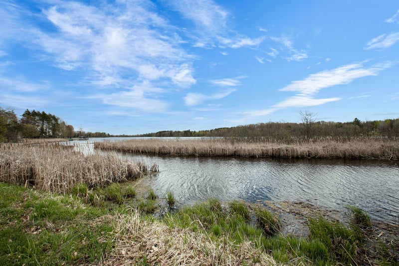 321 Lake Dr, Gresham, WI 54128