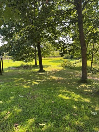321 Lake Dr, Gresham, WI 54128