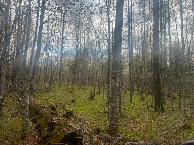 Memory Ln #1, Wabeno, WI 54566