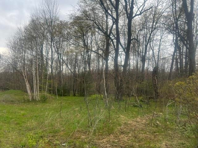 Memory Ln #1, Wabeno, WI 54566