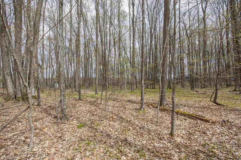 Little Long Lake Ln #9, Wabeno, WI 54566