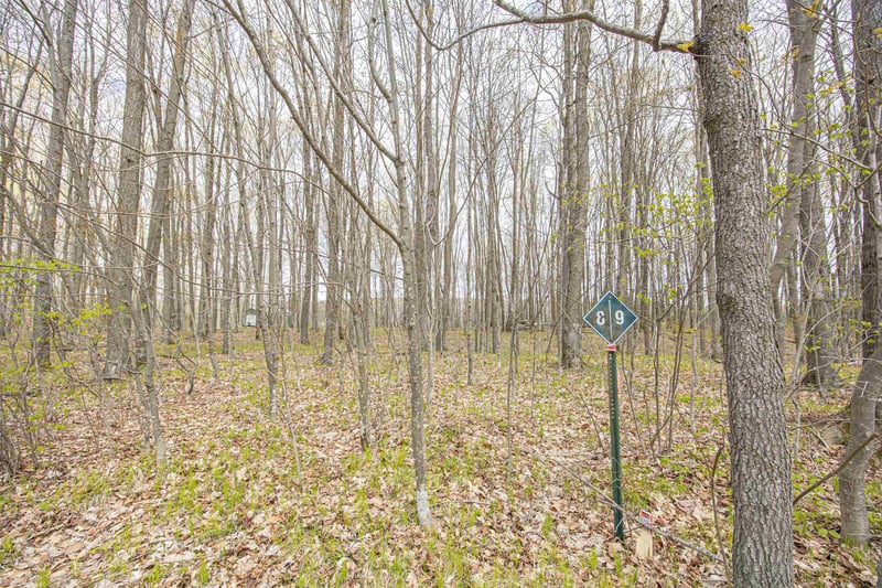 Little Long Lake Ln #9, Wabeno, WI 54566