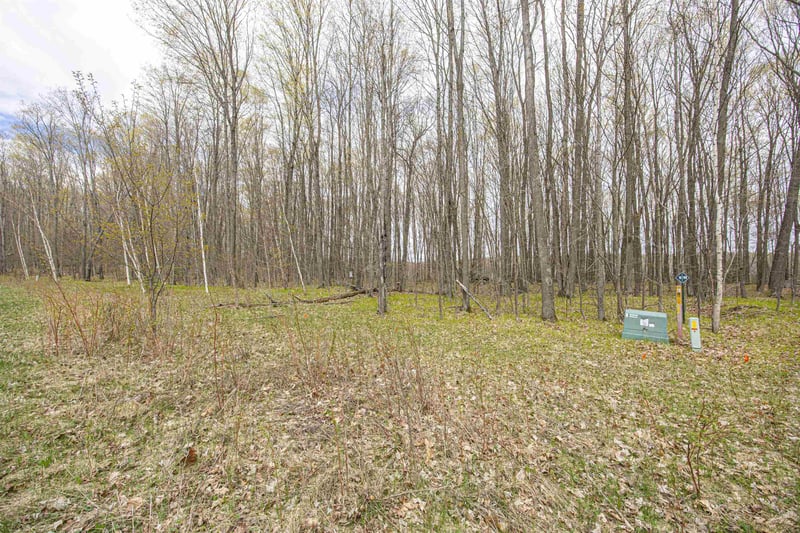 Little Long Lake Ln #9, Wabeno, WI 54566