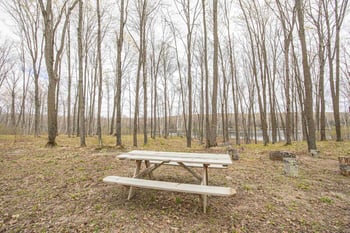 6870 Little Long Lake Ln #8, Wabeno, WI 54566