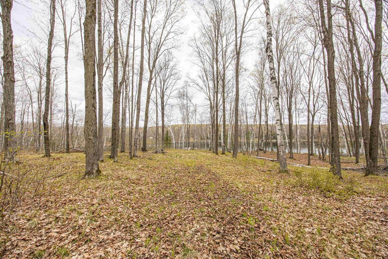 6870 Little Long Lake Ln #8, Wabeno, WI 54566