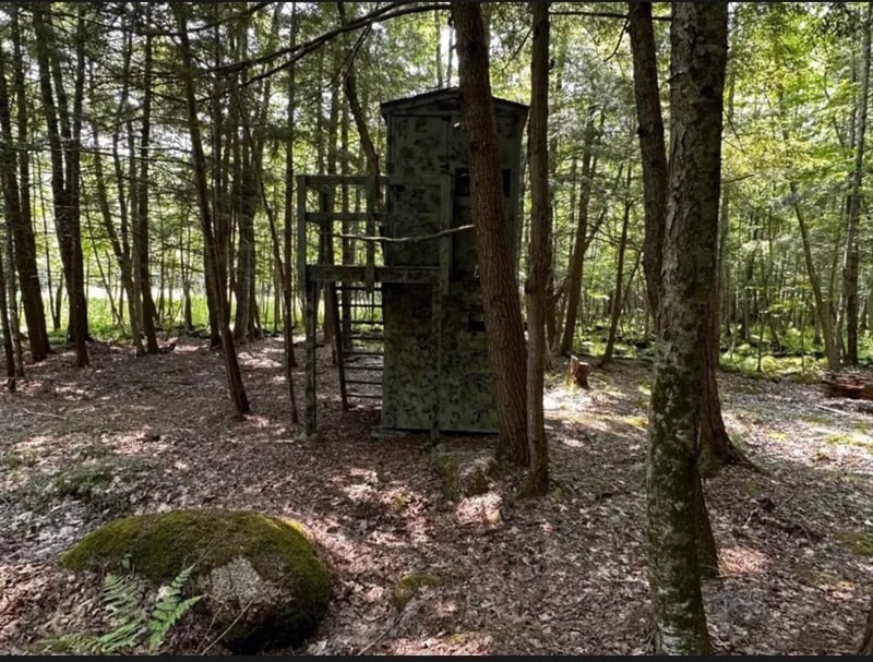 N4207 Johnson Rd, Tigerton, WI 54486