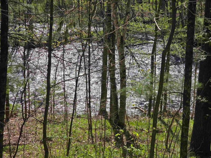 14149 Section 4 Ln, Mountain, WI 54149